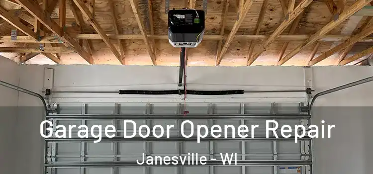  Garage Door Opener Repair Janesville - WI